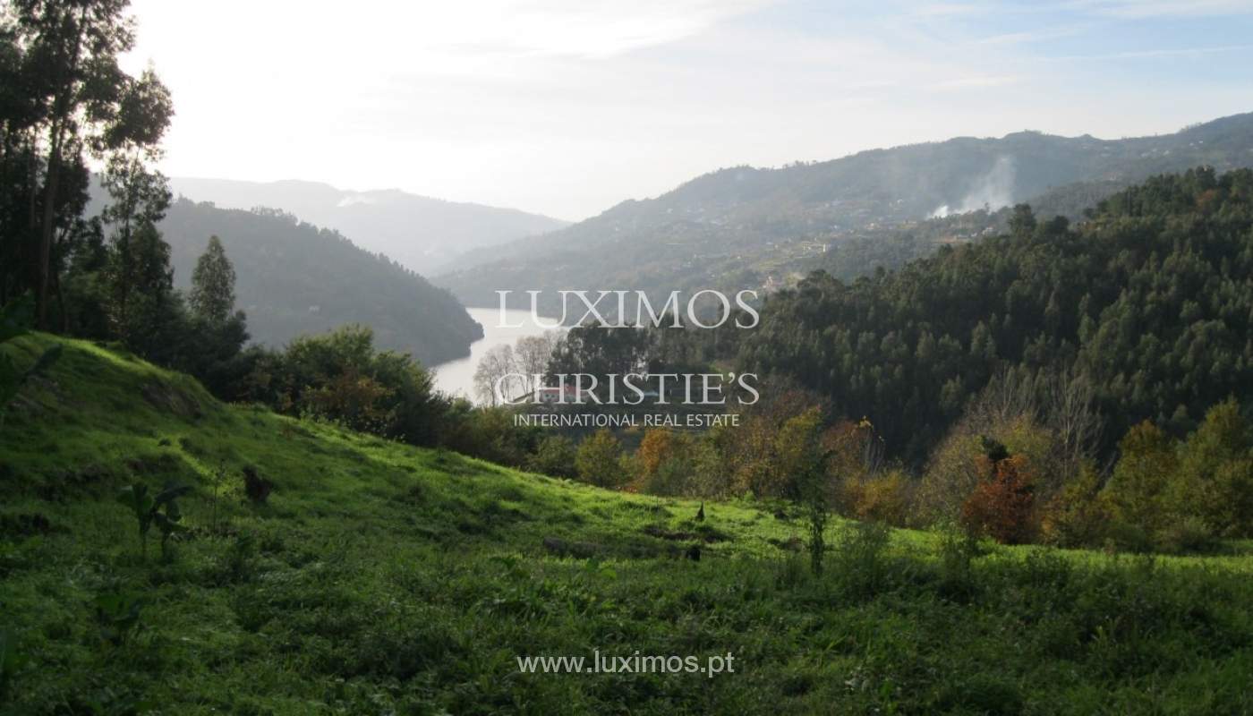 Country house with orchard and fantastic river views in Baião, Portugal_9353