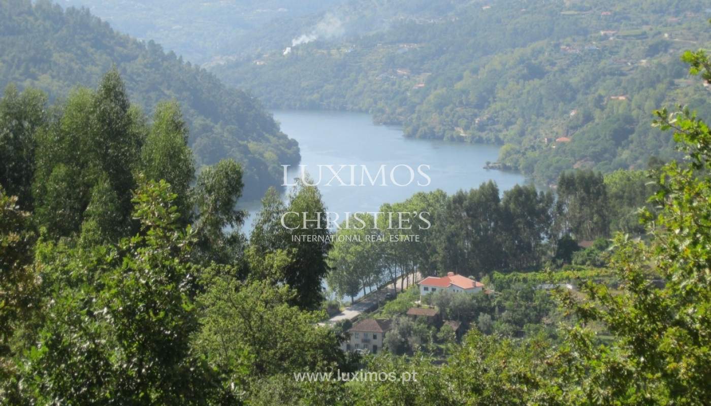 Country house with orchard and fantastic river views in Baião, Portugal_9356