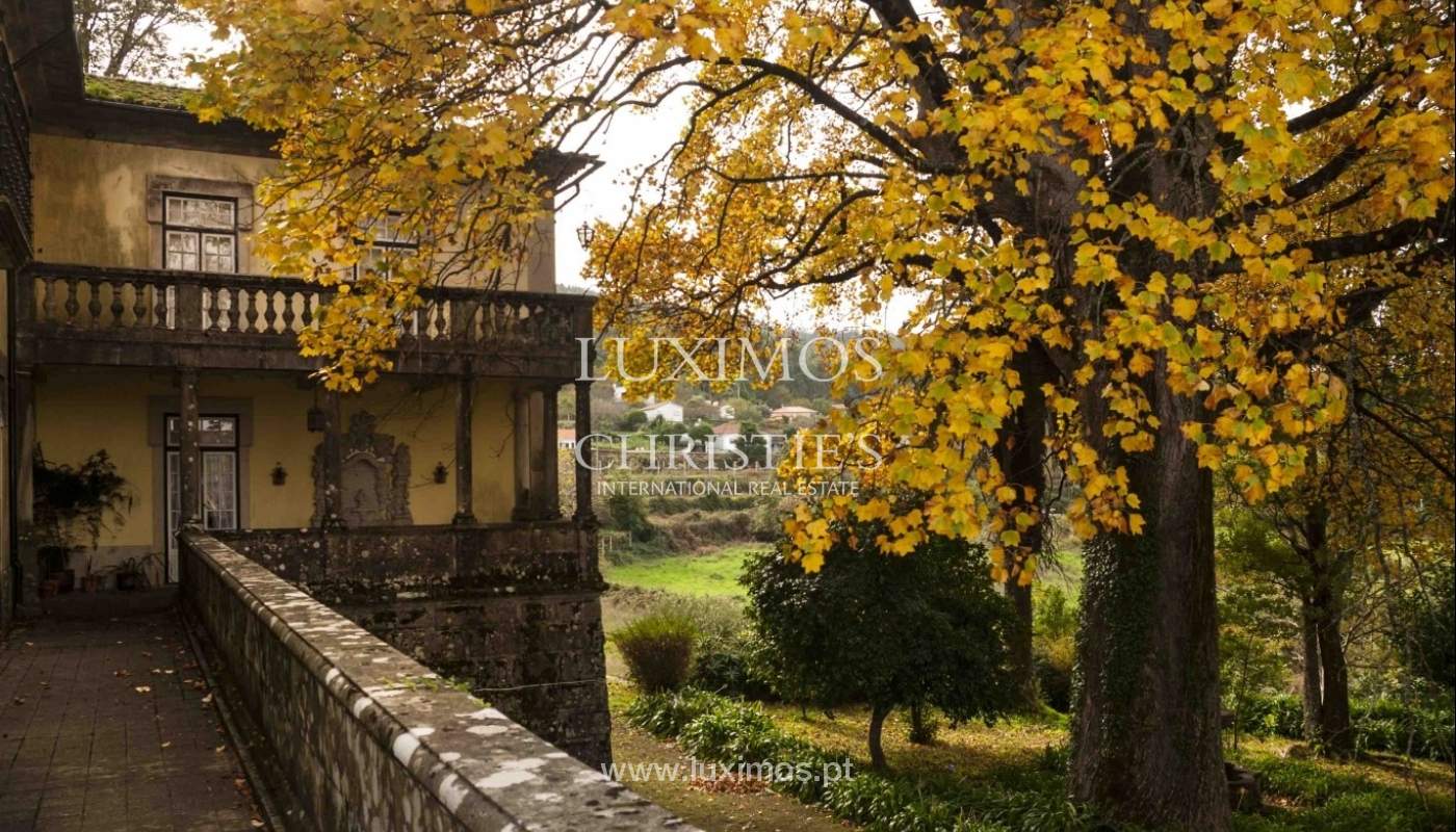 Country House with a wine cellar, a swimming pool and fruit trees in the North of Portugal_961