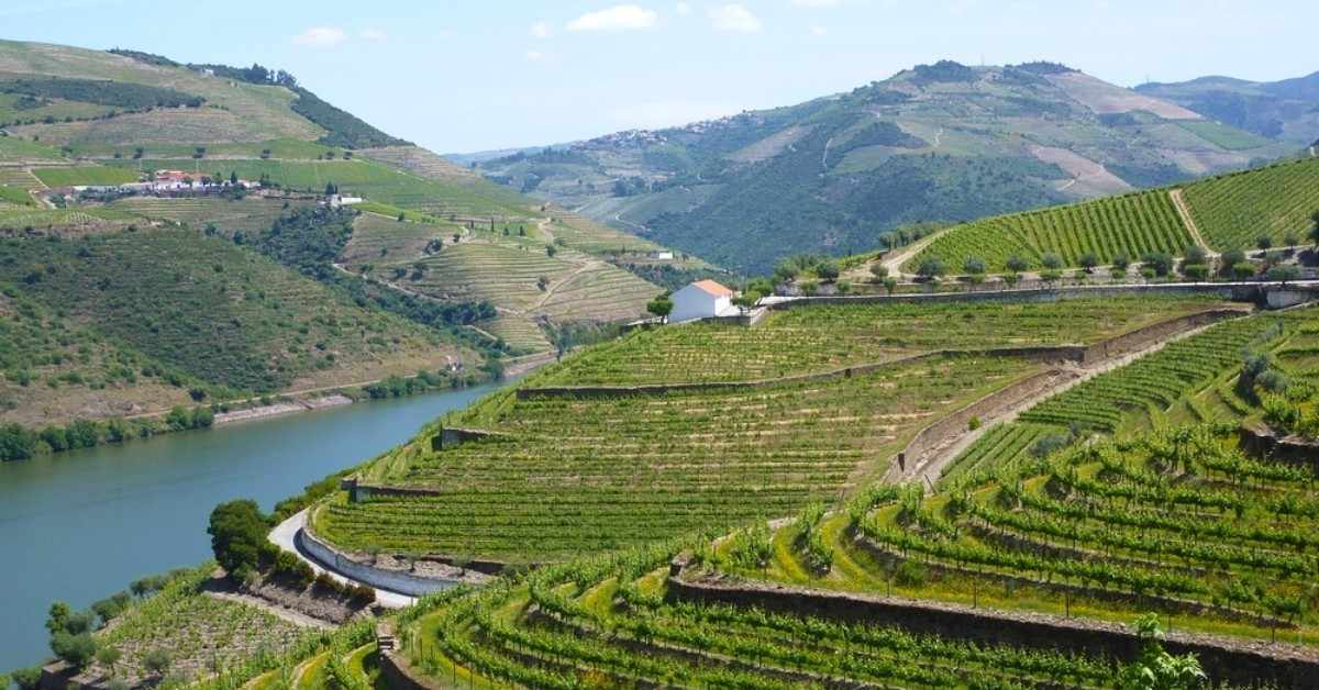 3 vignobles à vendre au Douro à connaître et à acheter, Portugal