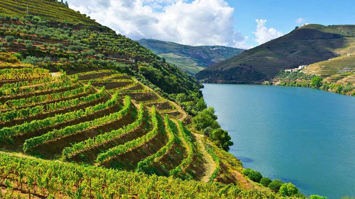A Wine Tour of the Iberian Peninsula