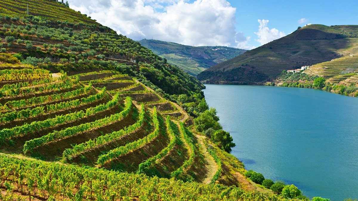 Uma viagem vínica pela Península Ibérica
