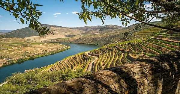 Douro Valley was chosen as Portugal